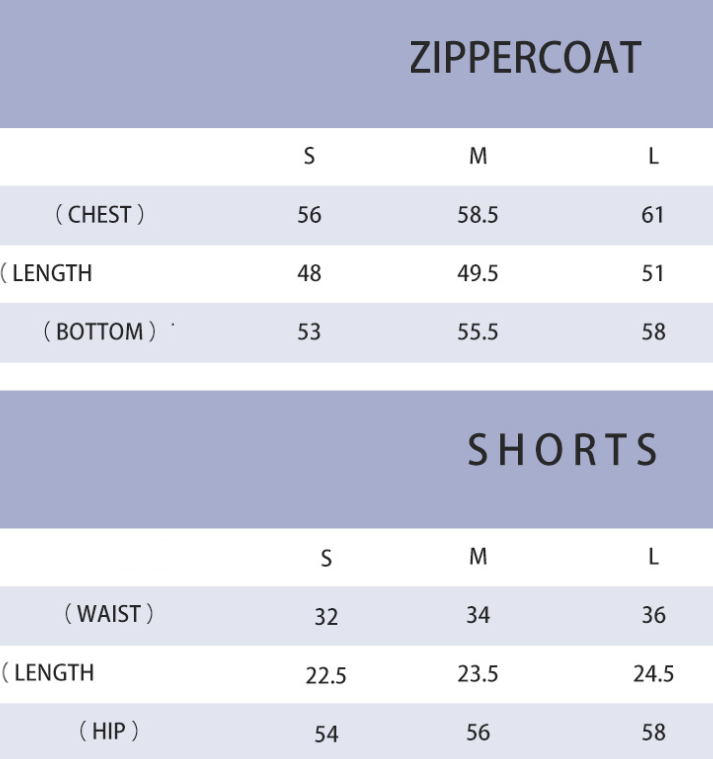 Loose Casual Sports Jacket Workout Clothes Outdoor Running Cycling Sports Zip Up Shirt Two Piece Set Women