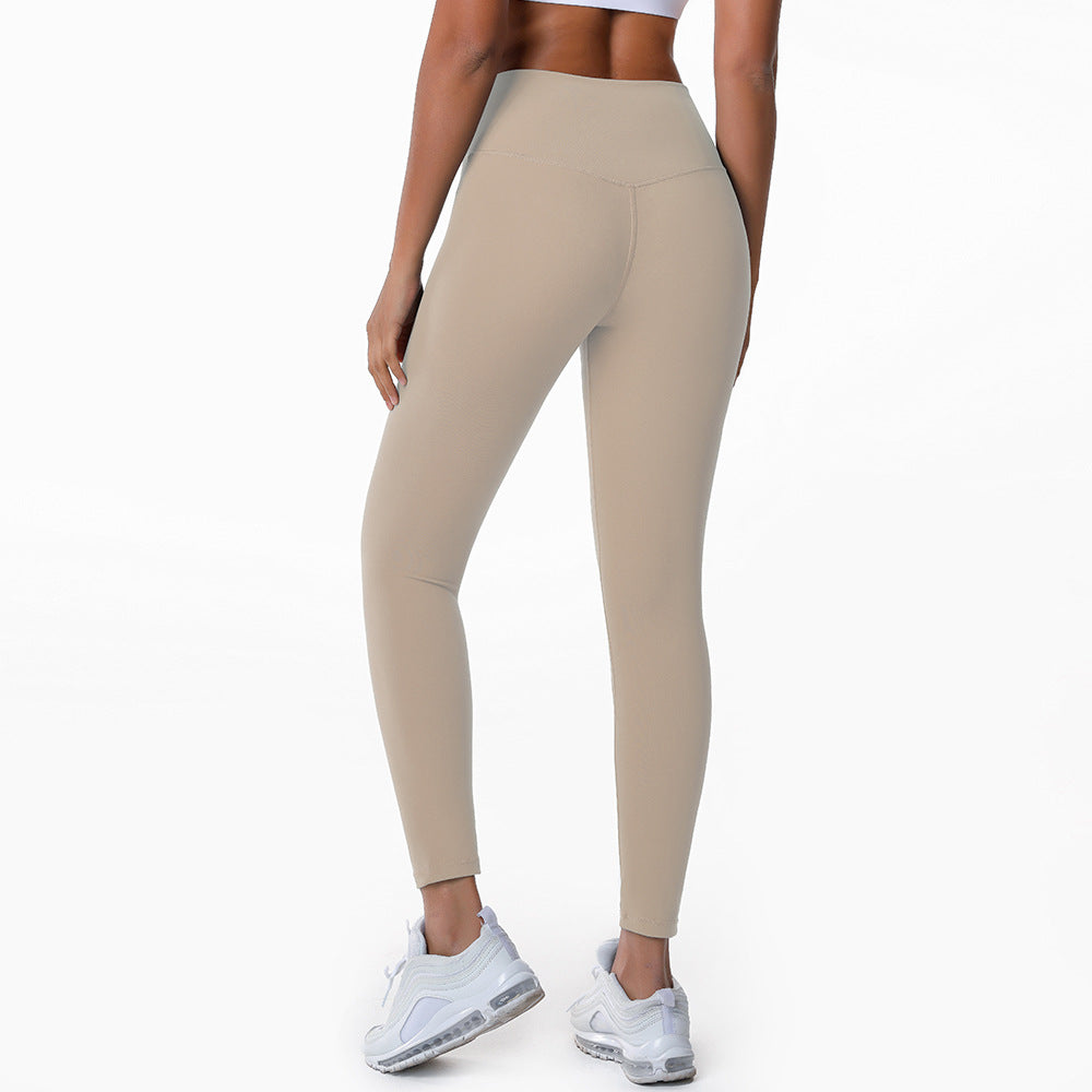 Sandstone Color